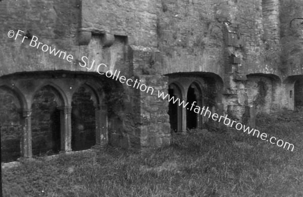 ABBEY CLOISTER GARTH FROM N.E. ANGLE